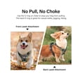 thumbnail image 3 of Harnais pour Chien Sans Traction, Harnais Réfléchissant pour Chien avec Clip avant Sans Étranglement, Gilet pour Animaux de Compagnie Rembourré Doux Réglable avec Poignée de Contrôle Facile pour Petits à Grands Chiens, 3 of 5