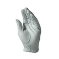 thumbnail image 2 of Bridgestone E Glove Golf Glove Men Left Hand Size Large Regular, 2 of 3