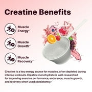 FLAT TUMMY Pre Workout Fruit Punch (30 Count) – 3g Creatine, 1.6g Beta-Alanine, Sugar Free
