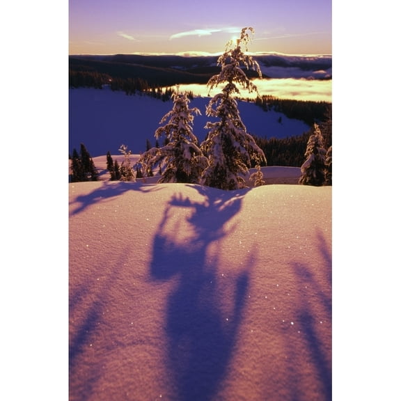 Posterazzi DPI1783828LARGE Pink & Purple Sunrise Shadows of Snow Covered Trees Cascades Poster Print by Natural Selection Craig Tuttle, 24 x 36 - Large