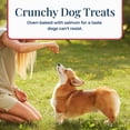 thumbnail image 6 of Blue Buffalo Basics Crunchy Dog Biscuits, Skin & Stomach, Salmon Potato, Chicken Free, 6oz, 6 of 12
