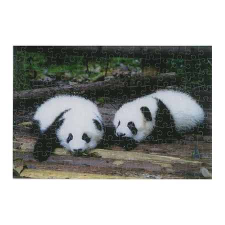 Two Pandas price history on PriceWatchPro