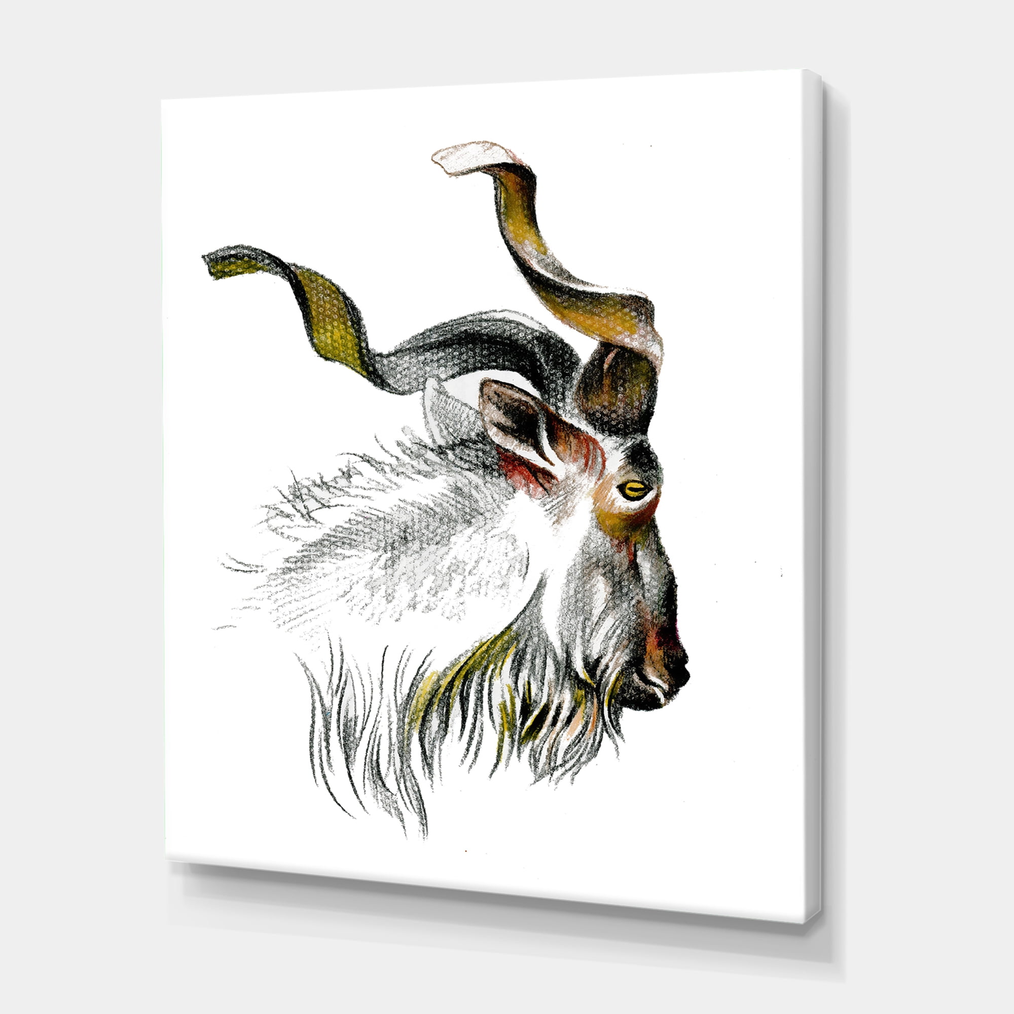 Designart ' Black and White Portrait Of Goat II ' Farmhouse Canvas Wall Art Print