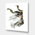 thumbnail image 3 of Designart ' Black and White Portrait Of Goat II ' Farmhouse Canvas Wall Art Print, 3 of 4
