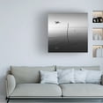 thumbnail image 2 of Trademark Fine Art "Fly" Canvas Art by Moises Levy, 2 of 4