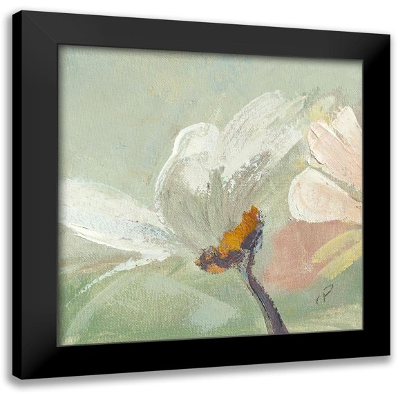 Parise, Chantal 12x12 Black Modern Framed Museum Art Print Titled - Paquerette II