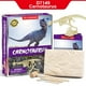 thumbnail image 1 of Archaeological Excavation Jurassic Animal Model Skeleton Simulation Dinosaur Toy Puzzle Assembly Archaeological Excavation ToysD7149 Deng Xun unisex, 1 of 2