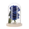 thumbnail image 1 of Lámpara de noche con cúpula de cristal de rosa artificial de alambre de cobre LED, decoración del hogar, regalo de cumpleaños (azul), 1 of 7
