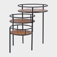 thumbnail image 4 of Delaney Plant Stand, 4 of 9