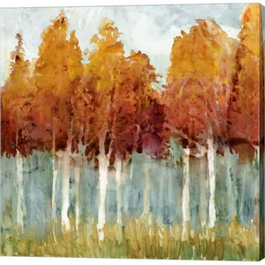 Metaverse C950569-0120000-AAAACMA Birch II by Edward Selkirk Canvas Wall Art - 12 x 12 in.