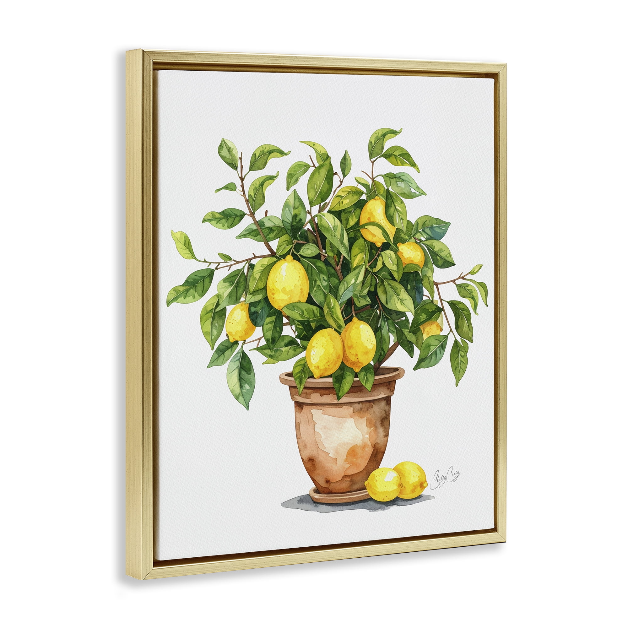 Stupell Industries Potted Lemon Tree Gold Framed Floater Canvas Wall Art, design by Shelly Craig