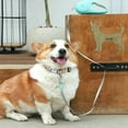 thumbnail image 4 of AMERTEER Pet Leash with LED Light Retractable Leash to Send Pet Collar, 4 of 8