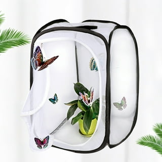 Restcloud RESTCLOUD 3-Pack Large Monarch Butterfly Habitat, Giant  Collapsible Insect Mesh Cage Terrarium Pop-up