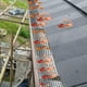 thumbnail image 4 of Rolls Durable PP Gutter Protection Grilles, Roof Protection and Leaf Protection + PLUS 20 Fixing Hooks + 18cm Width + 16m Length, 4 of 4