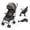 Peanut, variant on Ingenuity 3Dlite Jewel Convenience Stroller – Lightweight Folding Stroller with Car Seat Compatibility & Extra-Large Canopy