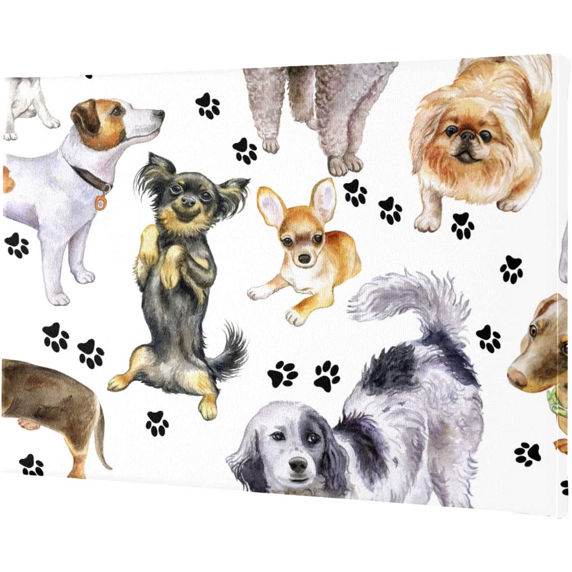 What Does Wall Eyed On A Dog Mean