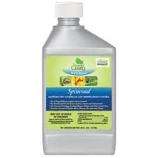 Fertilome 16062 Spinosad Insecticide, Spinosad Bagworm, Tent