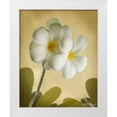 thumbnail image 3 of Vitaly Geyman 26x32 White Modern Wood Framed Wall Art Titled - Oriental Plumeria I, 3 of 5