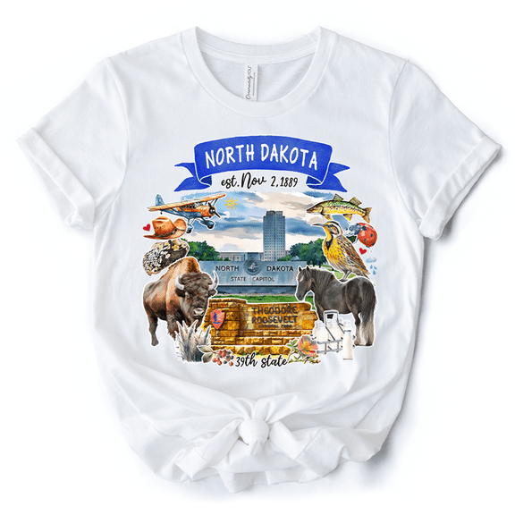 Artistic South Dakota State Themes and Landmarks T-Shirt, Tee for History and Travel Lovers