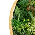 thumbnail image 6 of Nearly Natural Queensland Rainforest  Artificial Round Framed Living Wall Panel - 20", 6 of 9