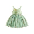 thumbnail image 2 of Musuos Kids Girl Princess Dress 9M 12M 18M 24M 3Y 4Y Sleeveless Floral Embroidery Tulle Dress Toddler Baby Cute Dress, 2 of 10
