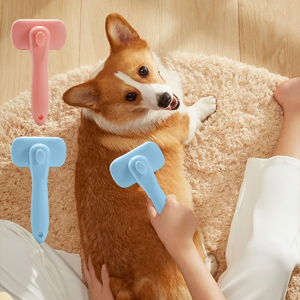 Fiudx Cepillo Portátil para Mascotas, Secador y Peine 2 En 1, Depilación con Un Solo Botón, Aguja Suave de Acero Inoxidable, Cuidado para Perros Pequeños y Medianos, Diseño Compacto, Azul Cielo, 15 X