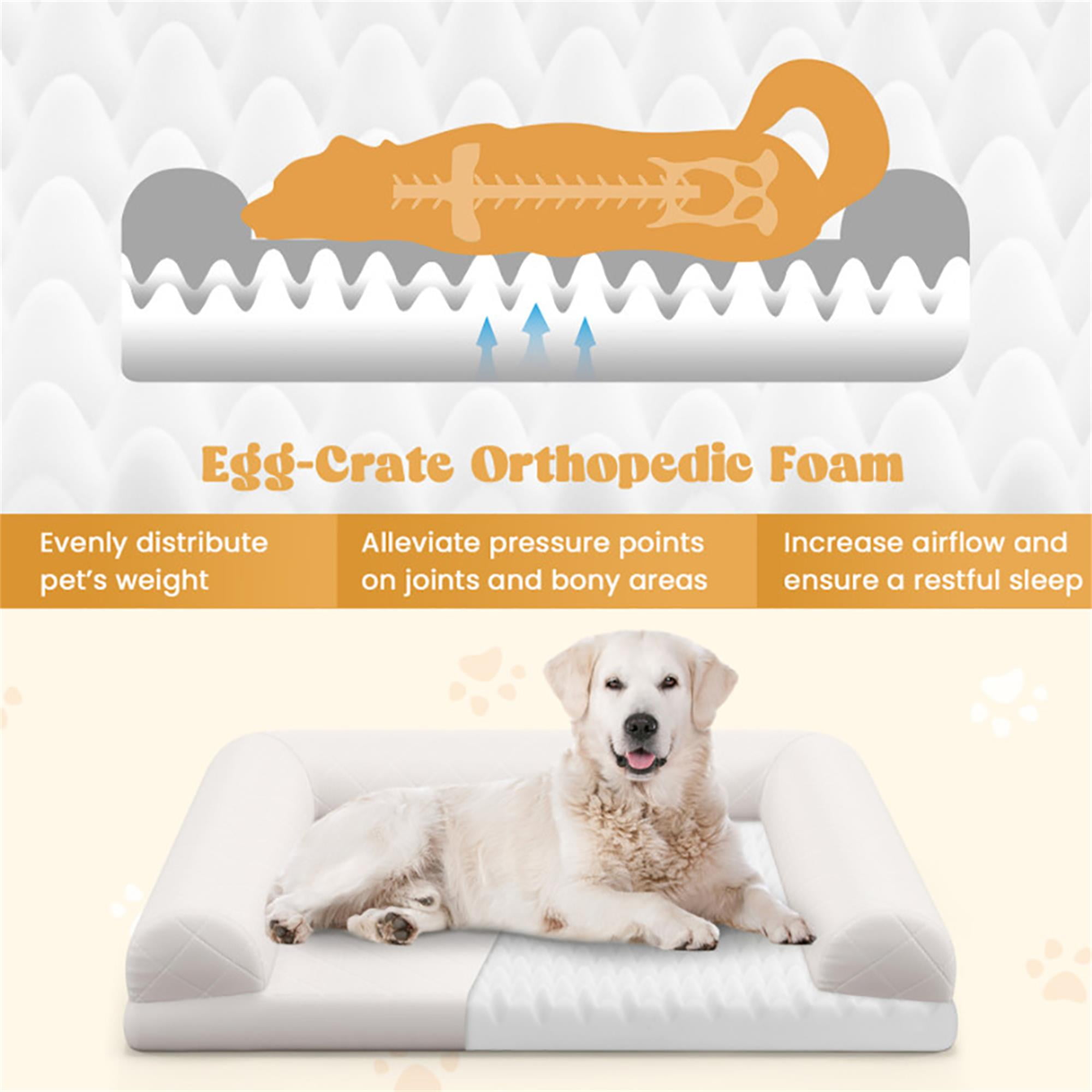 Kadyn 36" Egg-Foam Dog Bed with 3-Side Bolster, Pet Sofa Bed for Small Medium Dogs, Removable Washable Bed Cover Dog Crate Bed, Beige