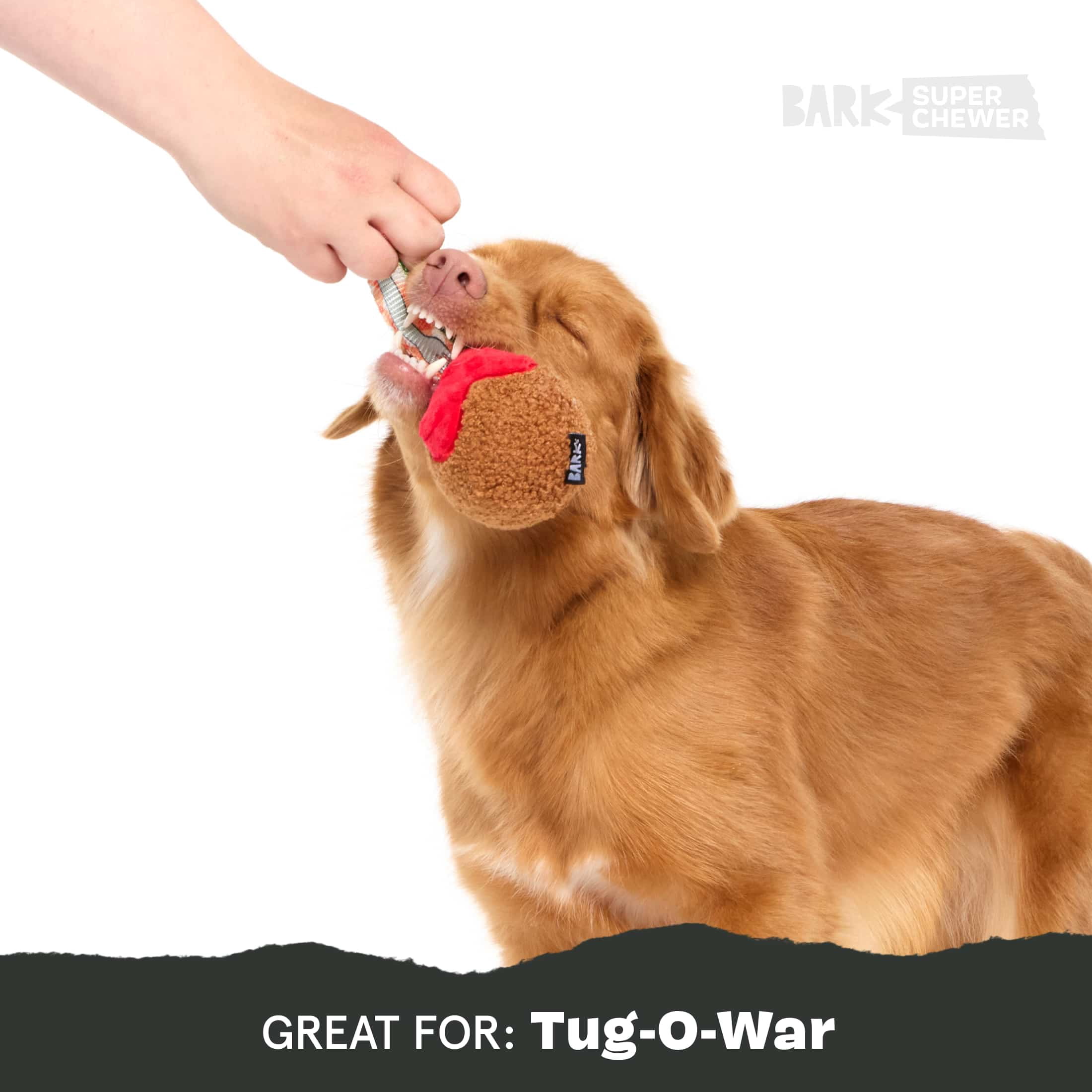 BARK A Squeaky Meatball Dog Toy for Active Pups