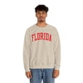 thumbnail image 5 of Florida Sweatshirt Gifts Crew Neck Shirt Long Sleeve Unisex, 5 of 7