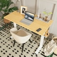 thumbnail image 3 of FlexiSpot 48"X24" Home Office Height Adjustable Standing Desk White Computer Desk Bamboo Desktop, 3 of 8