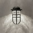 thumbnail image 5 of WAC Lighting Steampunk Outdoor Sconce, 5 of 5