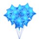 thumbnail image 1 of Globo plateado, 10 globos decorativos de cinco estrellas de 10 pulgadas, globo de papel de aluminio, el mejor de su clase Jadeshay A, 1 of 7