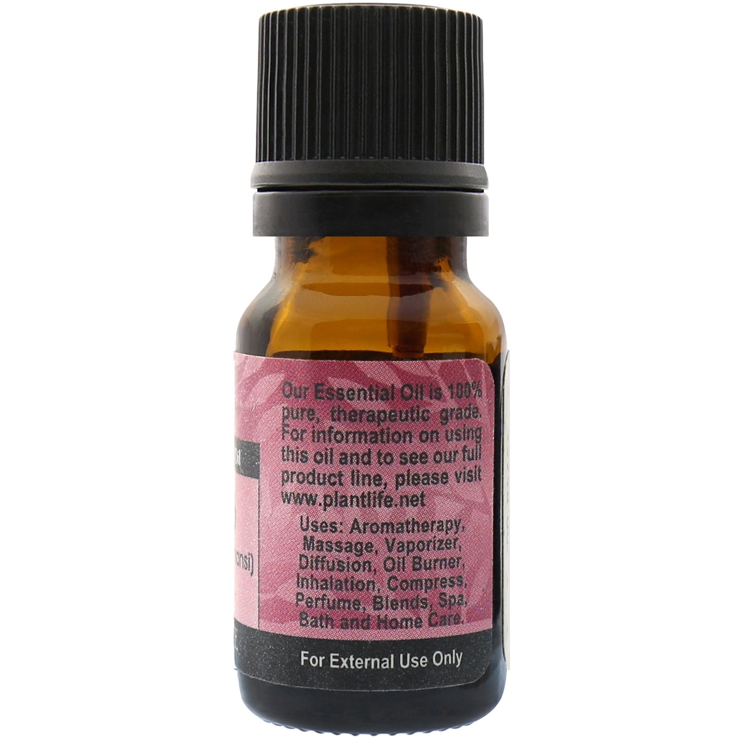 Plantlife Spikenard Aromatherapy Essential Oil - Straight From The Plant 100% Pure Therapeutic Grade - No Additives or Fillers - 10 ml