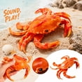 thumbnail image 2 of Realistic Crab Squishy Squeeze Sensory Fidget Item, Soft Rubber Inspired Novelty Sea Creature Desk Companion For Home School Travel, Party Favor, Birthday Holiday Gift For Adults, 2 of 5
