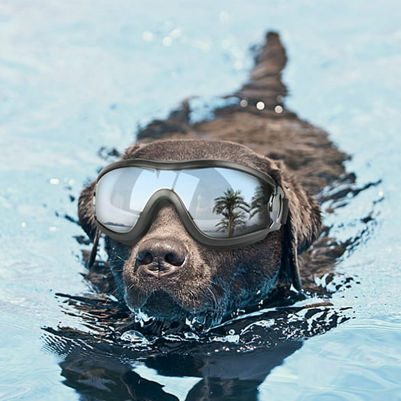KYAIGUO Pet Goggles Waterproof Windproof Sunproof Suitable for Outdoor Activities 5.9x2.4inch