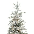 thumbnail image 2 of Trees n Trends 6.5-foot Snowy Flocked Balsam Pre-lit Artificial Christmas Tree - 6.5, 2 of 5