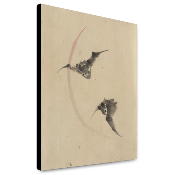 Canvas Print: Two Bats Flying, circa 1830