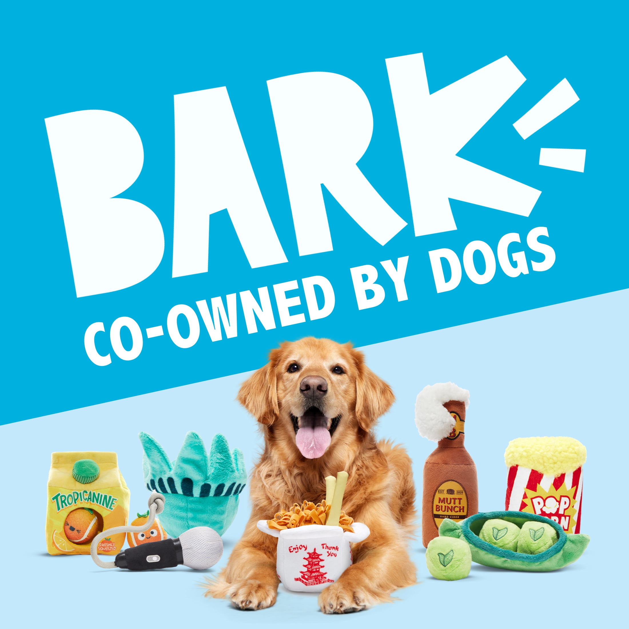 Late Bite Delivery Guy - Interactive Dog Toy for All Sizes
