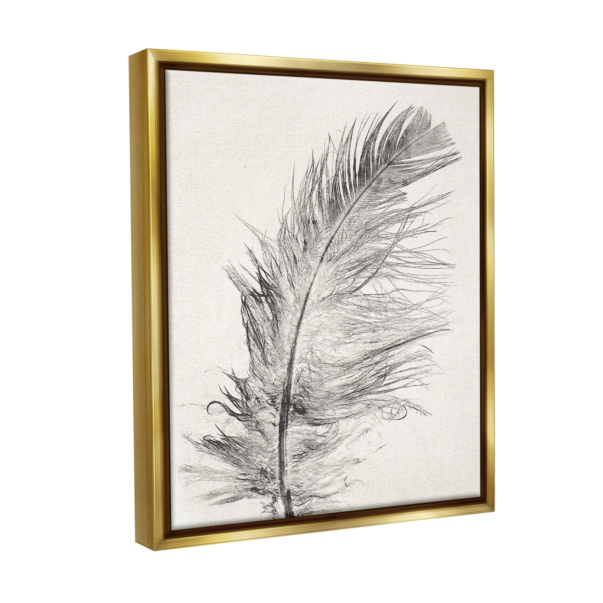 Stupell Industries Boho Windswept Feather Animals & Insects Painting Gold Floater Framed Canvas Art Print Wall Art, 17 x 21