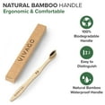 VIVAGO Biodegradable Charcoal Bamboo Toothbrushes Soft Bristles for