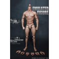 thumbnail image 4 of Muñeca corporal Action Figure Body Doll a escala 1/6 para hombre musculoso con 30 puntos, 4 of 8