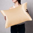 thumbnail image 6 of Tkrady Gold Mulberry Silk Pillowcase for Hair and Skin, Real Silk, 100% Silk Pillow Cases with Zipper, 6A Grade Pure Silk, Soft, Cooling, Anti Acne, 2 Pc 20"x26" (Standard), 6 of 6