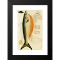 thumbnail image 2 of Frederick McCoy 13x18 Black Modern Framed Museum Art Print Titled - Fishes IX (1885-1890), 2 of 5