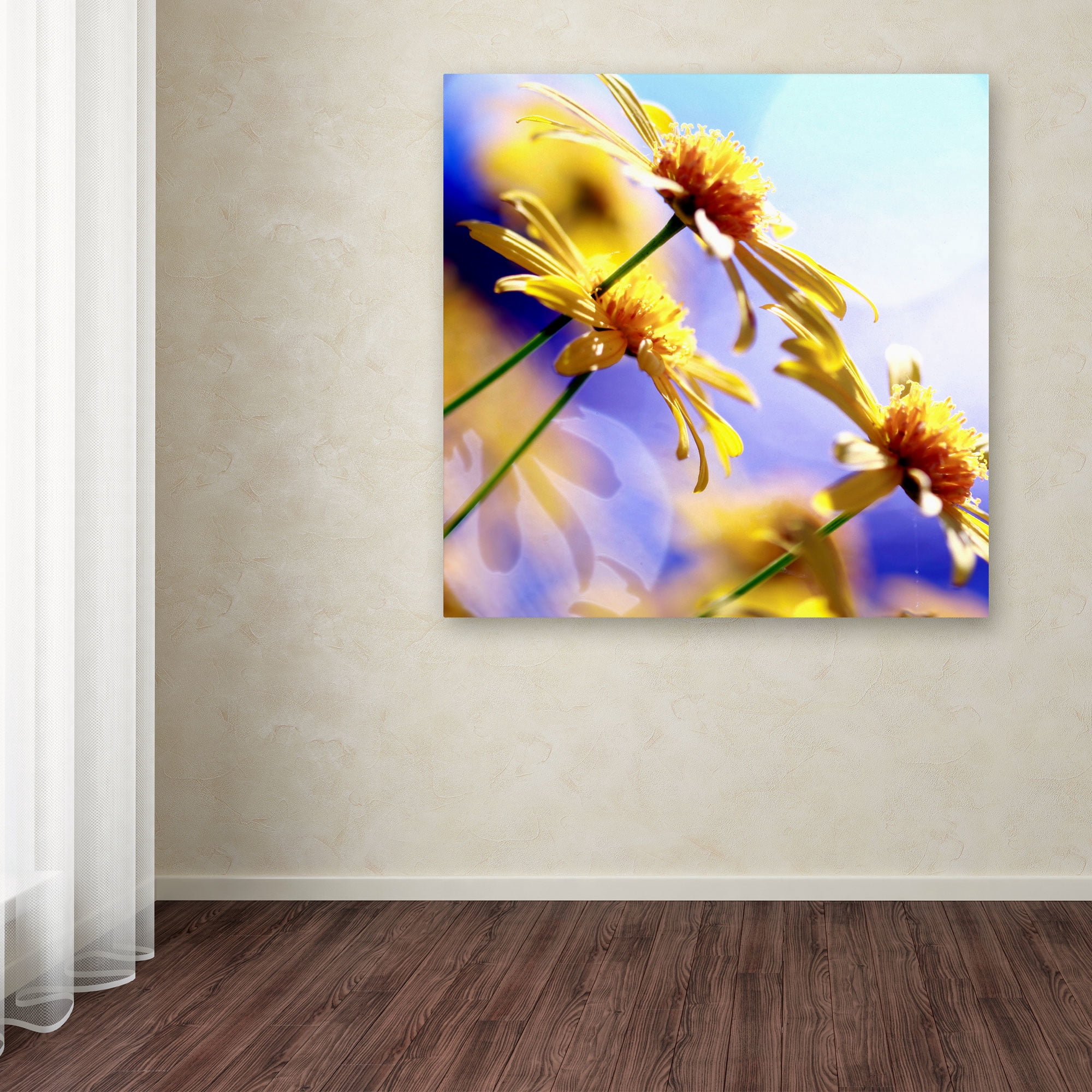 Trademark Fine Art "Sunny Days" Canvas Art by Beata Czyzowska Young