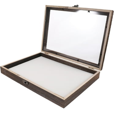 Wooden Specimen Shadow Box - 8×10 Display Case with Glass Front (Butterfly/Pin Collection)