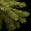 National Tree Company Clear Prelit LED Green Fir Christmas Tree, 10'