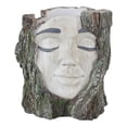 thumbnail image 1 of Maceta con forma de cara, contenedor de plantas, adorno artesanal, regalo, decoración del hogar, maceta práctica de resina para dormitorio, oficina,, 1 of 8