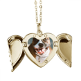 thumbnail image 1 of Bulldog mascota animal espantosa imagen Collar colgante en forma de melocotón con alas Unbranded M, 1 of 3