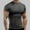 Dark Gray, variant on Men's Workout Shirts Slim Fit Athletic Bodybuilding T-Shirts Short Sleeve Comfort Quick Dry Crew Neck Gym Training Running Fitness Tee Top