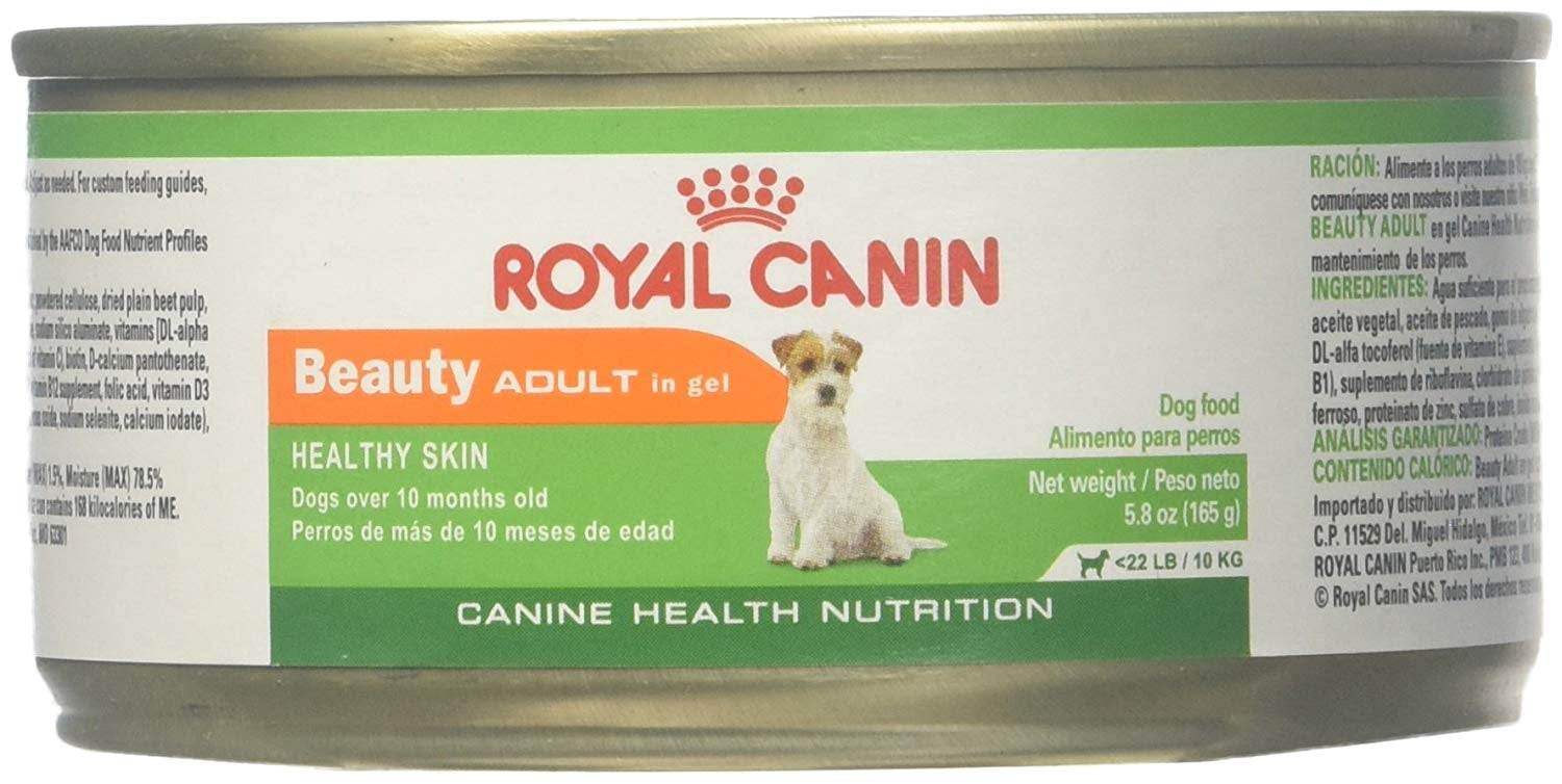 High-Quality How Much Is Royal Canin Dog Food Photo for Mobile High-Quality How Much Is Royal Canin Dog Food Photo for Mobile